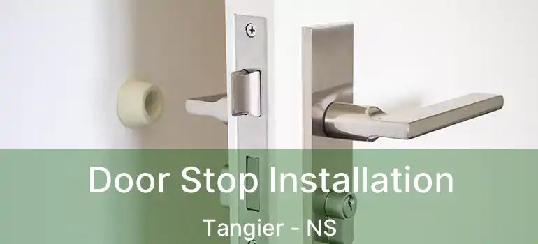  Door Stop Installation Tangier - NS