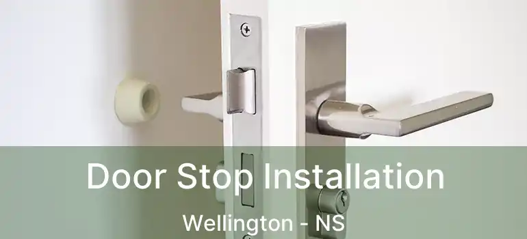  Door Stop Installation Wellington - NS