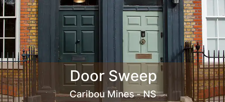  Door Sweep Caribou Mines - NS