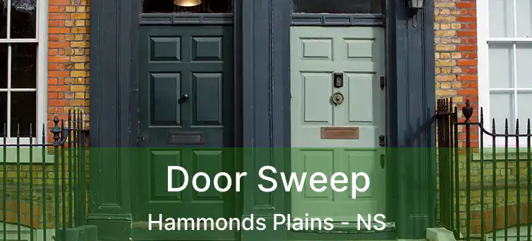  Door Sweep Hammonds Plains - NS