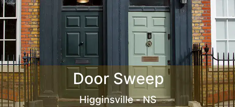  Door Sweep Higginsville - NS