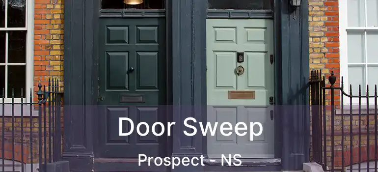  Door Sweep Prospect - NS