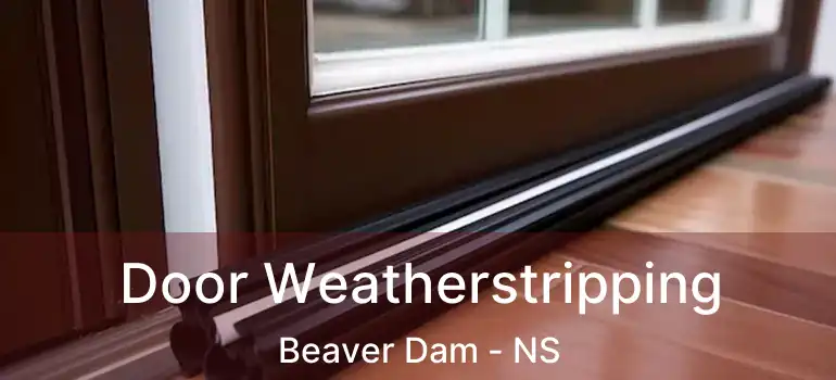  Door Weatherstripping Beaver Dam - NS