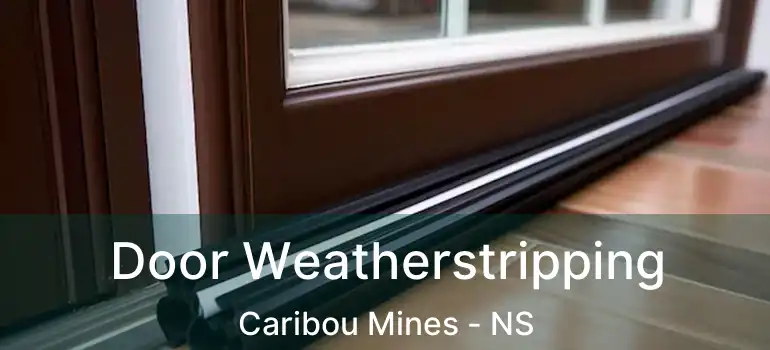  Door Weatherstripping Caribou Mines - NS