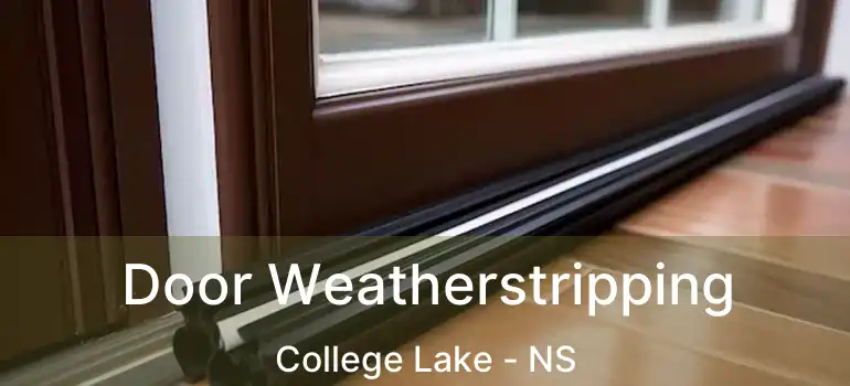  Door Weatherstripping College Lake - NS