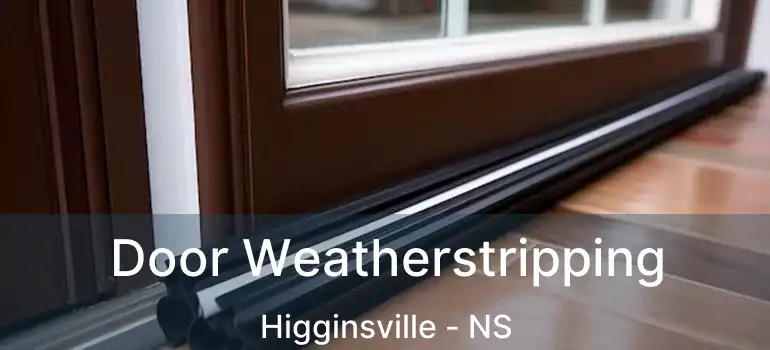  Door Weatherstripping Higginsville - NS