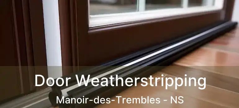  Door Weatherstripping Manoir-des-Trembles - NS