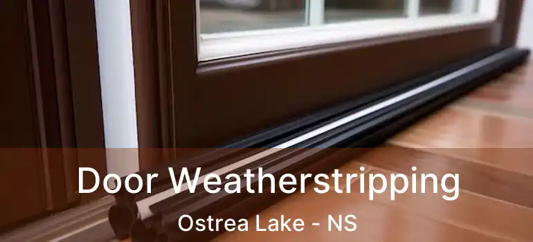  Door Weatherstripping Ostrea Lake - NS