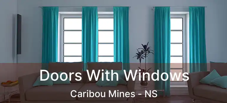  Doors With Windows Caribou Mines - NS