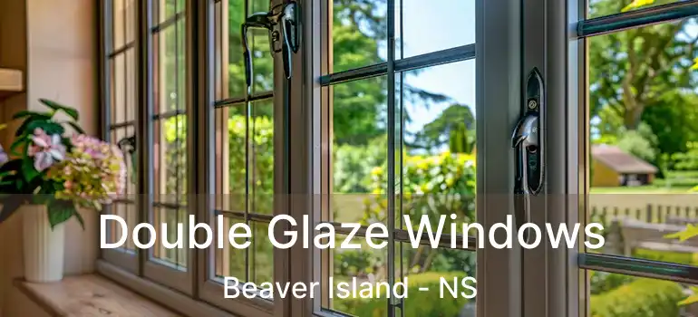  Double Glaze Windows Beaver Island - NS