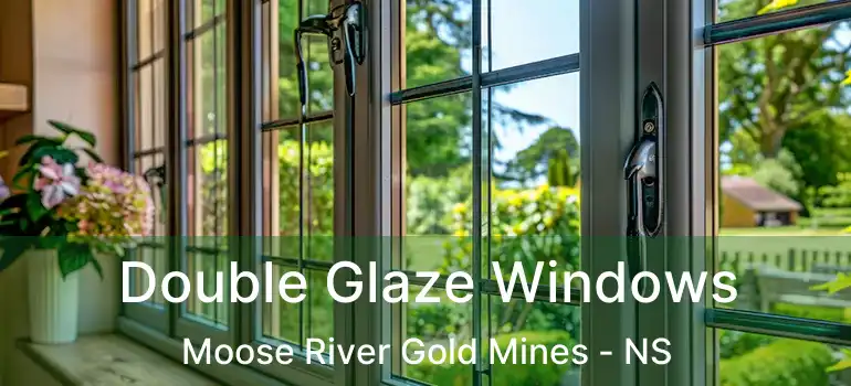  Double Glaze Windows Moose River Gold Mines - NS