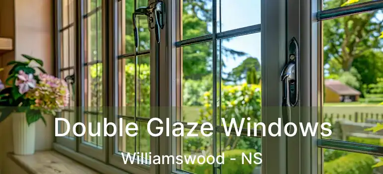  Double Glaze Windows Williamswood - NS