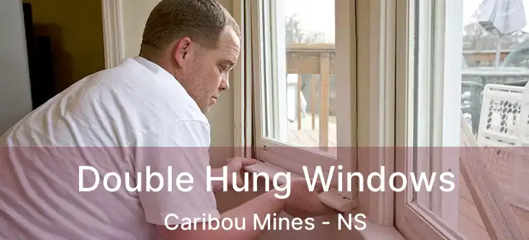  Double Hung Windows Caribou Mines - NS