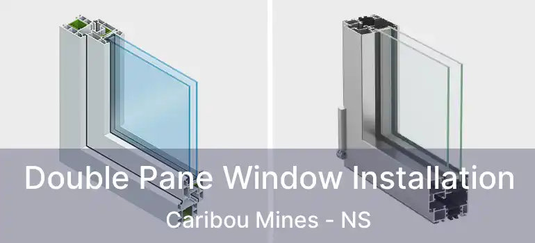  Double Pane Window Installation Caribou Mines - NS