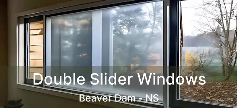  Double Slider Windows Beaver Dam - NS