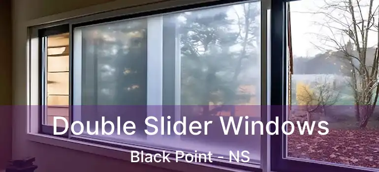  Double Slider Windows Black Point - NS