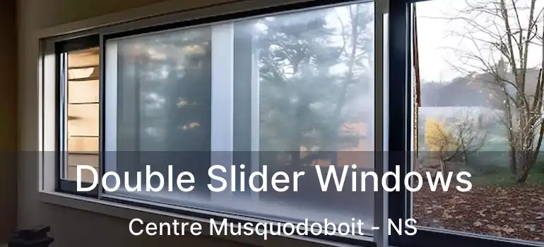  Double Slider Windows Centre Musquodoboit - NS