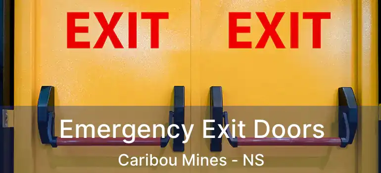  Emergency Exit Doors Caribou Mines - NS