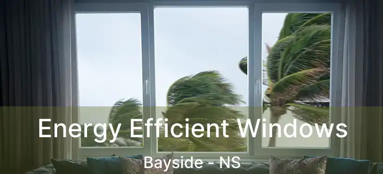  Energy Efficient Windows Bayside - NS