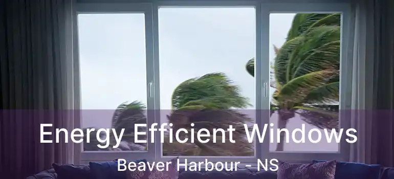  Energy Efficient Windows Beaver Harbour - NS