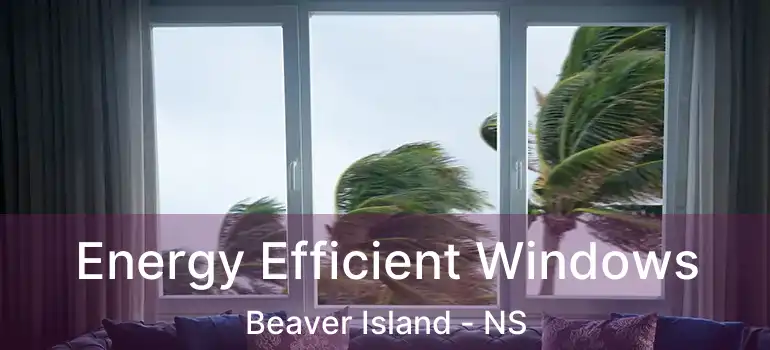  Energy Efficient Windows Beaver Island - NS