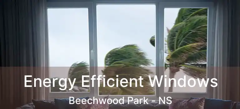  Energy Efficient Windows Beechwood Park - NS