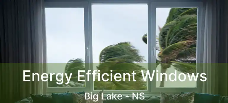  Energy Efficient Windows Big Lake - NS