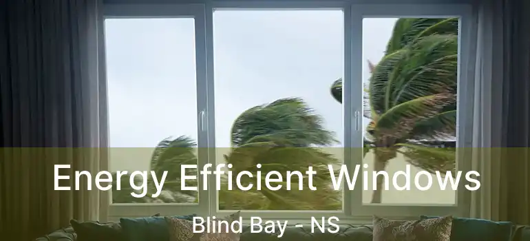  Energy Efficient Windows Blind Bay - NS