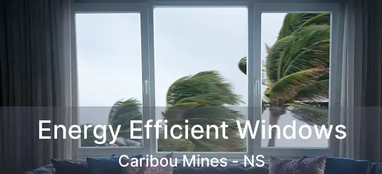  Energy Efficient Windows Caribou Mines - NS