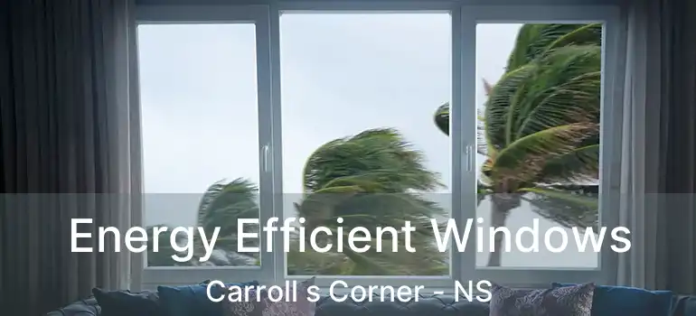  Energy Efficient Windows Carroll s Corner - NS