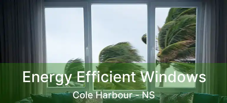  Energy Efficient Windows Cole Harbour - NS