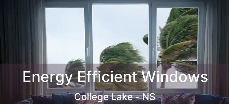  Energy Efficient Windows College Lake - NS