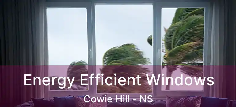  Energy Efficient Windows Cowie Hill - NS