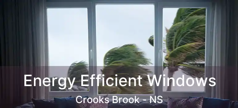  Energy Efficient Windows Crooks Brook - NS