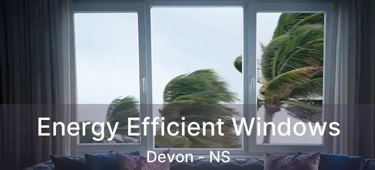  Energy Efficient Windows Devon - NS