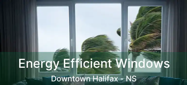  Energy Efficient Windows Downtown Halifax - NS