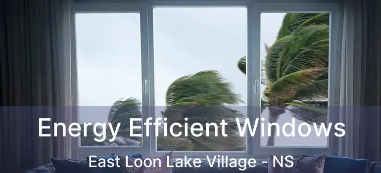  Energy Efficient Windows East Loon Lake Village - NS