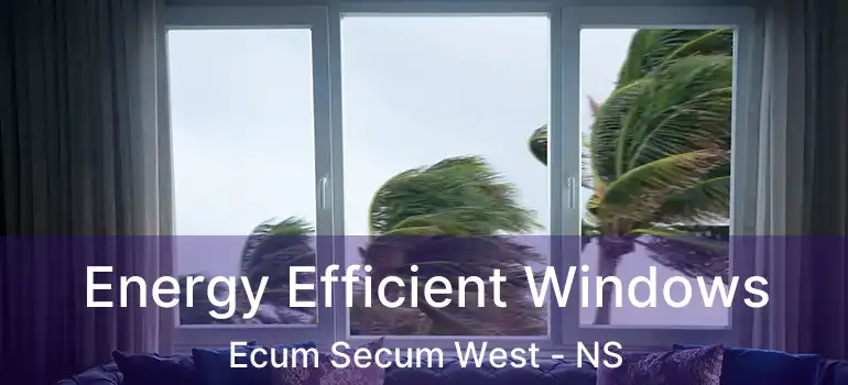  Energy Efficient Windows Ecum Secum West - NS