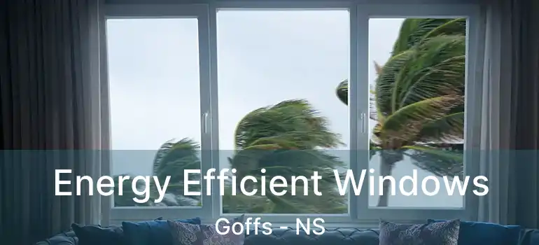  Energy Efficient Windows Goffs - NS