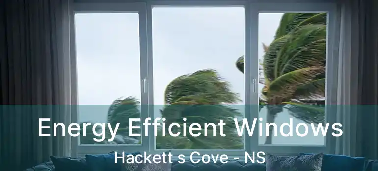  Energy Efficient Windows Hackett s Cove - NS