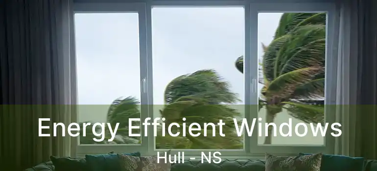  Energy Efficient Windows Hull - NS