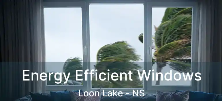  Energy Efficient Windows Loon Lake - NS