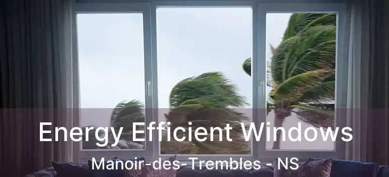  Energy Efficient Windows Manoir-des-Trembles - NS