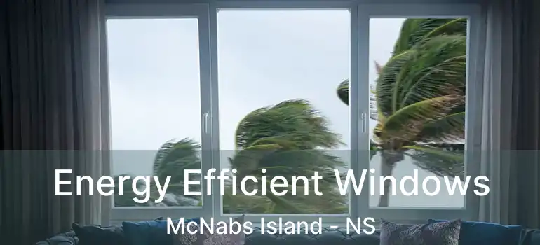  Energy Efficient Windows McNabs Island - NS