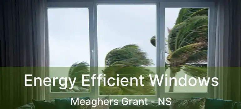  Energy Efficient Windows Meaghers Grant - NS