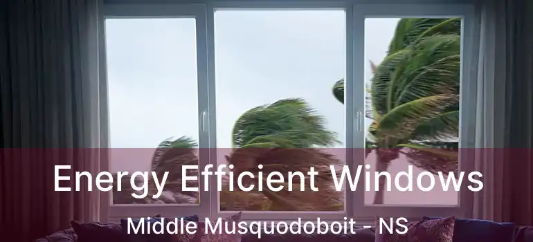  Energy Efficient Windows Middle Musquodoboit - NS