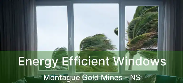  Energy Efficient Windows Montague Gold Mines - NS