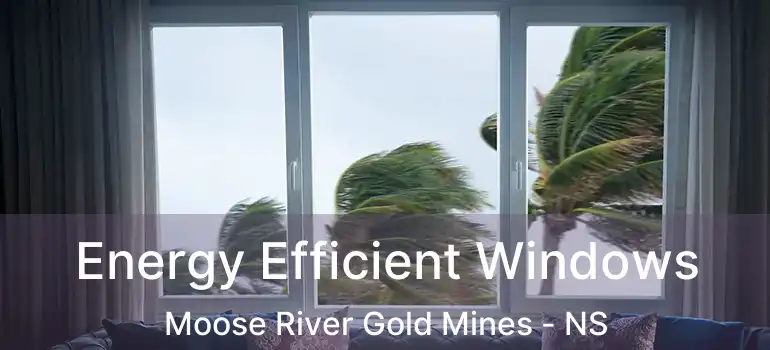  Energy Efficient Windows Moose River Gold Mines - NS