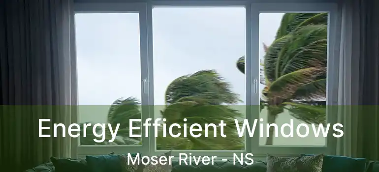  Energy Efficient Windows Moser River - NS