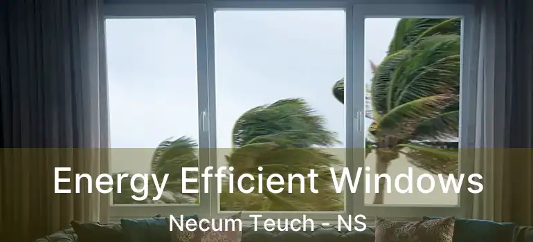  Energy Efficient Windows Necum Teuch - NS